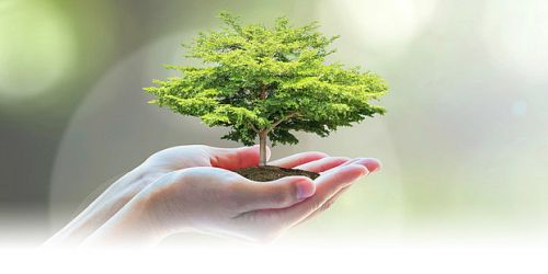 ISO 14001 Vorteile EUROCERT EQC