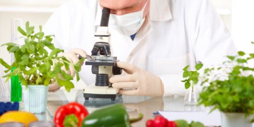 Vegan Certification